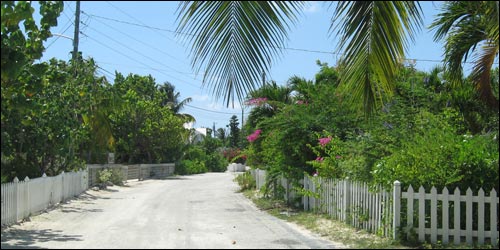 Cayman Private Road 1